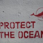 Graffiti with inscription Protect the oceans placed on concrete wall