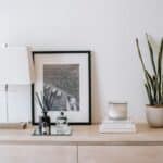 Photo with potted plant on chest of drawers in room