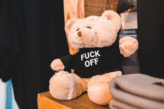 Small teddy bear in black t shirt with inscription FUCK OFF placed on wooden shelf in shop