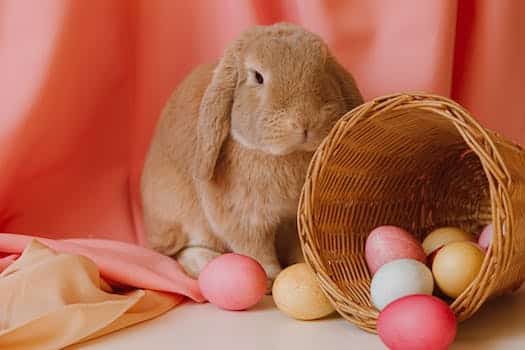 Colored Eggs In A Basket Beside A Bunny